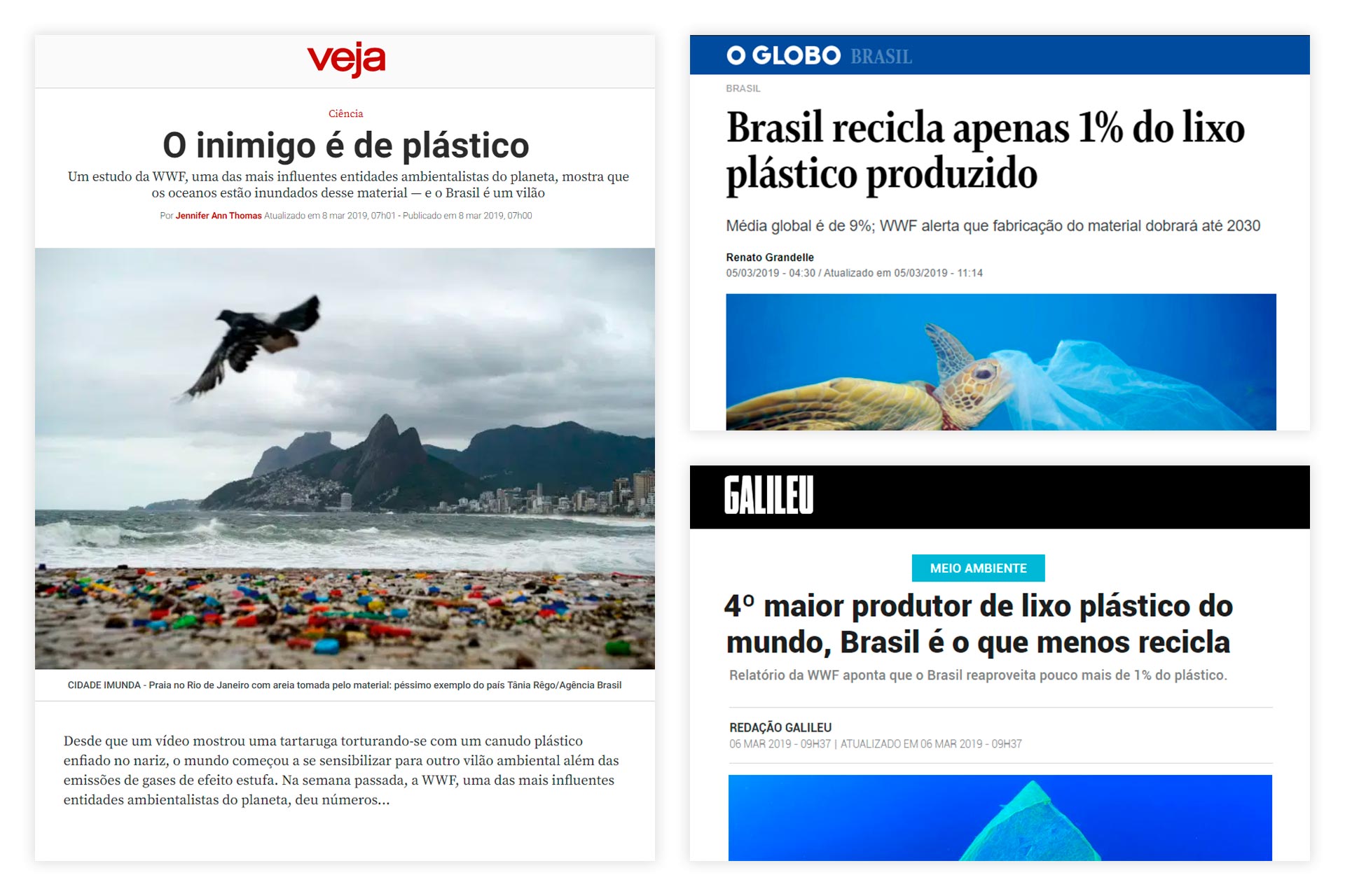 case-agenda-ambiental-wwf-brasil-06